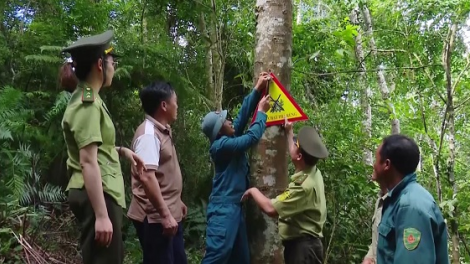 Phòng cháy giữ rừng trên vùng cao Sơn La (22/02/2024)