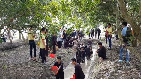 Vĩnh Long phát huy thế mạnh vùng sông nước để phát triển du lịch nông nghiệp (23/02/2024)