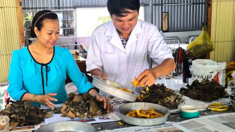Lương y Hồng Nhật Trường – Người thầy thuốc tận tâm (24/2/2024)