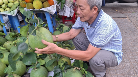 Trái cây mâm ngũ quả, giá giảm nhưng sức mua yếu (07/2/2024)