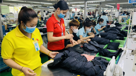 Đẩy mạnh liên kết chuỗi trong sản xuất để nâng cao năng lực cạnh tranh (24/2/2024)