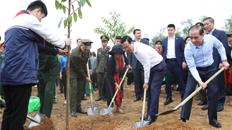 Chủ tịch nước phát động “Tết trồng cây đời đời nhớ ơn Bác Hồ” (15/2/2024)