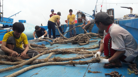 Ngư dân trúng đậm cá bè vàng, cá duội trong chuyến biển đầu năm (16/2/2024)
