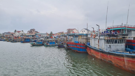 Nghệ An: Những chuyến biển cuối năm cập bến của ngư dân (09/2/2024)