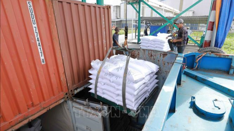 THỜI SỰ 6H SÁNG 05/2/2024: 7 doanh nghiệp Việt trúng thầu 300 nghìn tấn gạo xuất sang Indonesia
