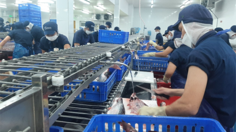 Tiền Giang: Nhiều doanh nghiệp phấn khởi tổ chức khai trương đầu năm (15/2/2024)