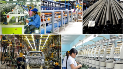 Tăng cường tín dụng cho sản xuất, kinh doanh (10/2/2024)