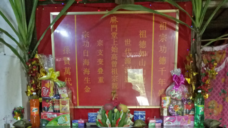 Cây mía thờ ngày Tết (10/02/2024)