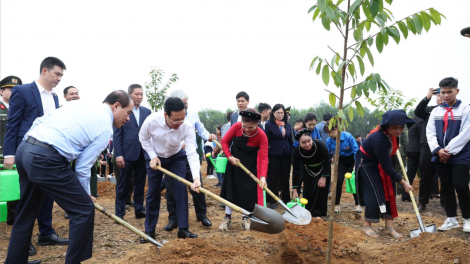 THỜI SỰ 12H TRƯA 15/2/2024: Chủ tịch nước Võ Văn Thưởng phát động “Tết trồng cây đời đời nhớ ơn Bác Hồ” tại Tuyên Quang.