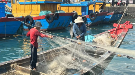 THỜI SỰ 12H TRƯA 18/2/2024: Chính phủ yêu cầu tăng cường các biện pháp gỡ thẻ vàng IUU. Đến tháng 4 tới, không còn tình trạng tàu cá Việt Nam đi khai thác hải sản trái phép