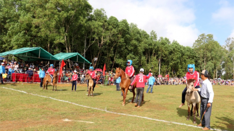 Hội đua ngựa truyền thống gò Thì Thùng (Phú Yên) (18/2/2024)