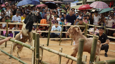 “Pay tái” – Tết tri ân nhà ngoại của người Tày (06/2/2024)