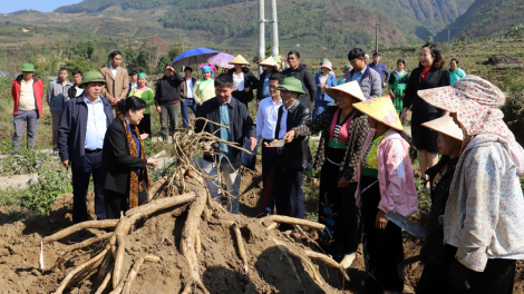 Lời giải cho bài toán cây trồng trên đất lúa một vụ ở Lai Châu (19/03/2024)