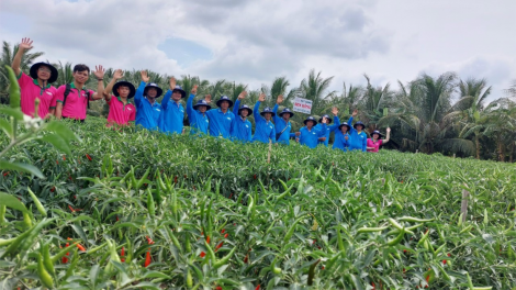 Nông dân Tiền Giang quyết liệt "chiến đấu" với hạn mặn (27/3/2024)