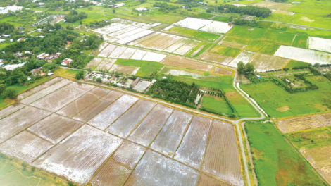Sớm ban hành Nghị định, thông tư hướng dẫn để sớm đưa Luật Đất đai đi vào cuộc sống (06/3/2024)