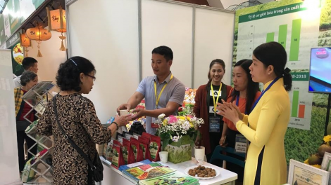 Phát triển xanh để tăng trưởng xuất khẩu bền vững (22/3/2024)