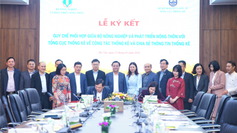 Nâng cao hiệu quả công tác thống kê, phát triển nông nghiệp, nông thôn bền vững (15/3/2024)