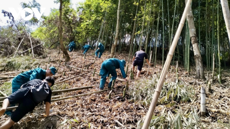 Cao Bằng: Tăng cường phòng cháy chữa cháy rừng cao điểm mùa khô (21/3/2023)