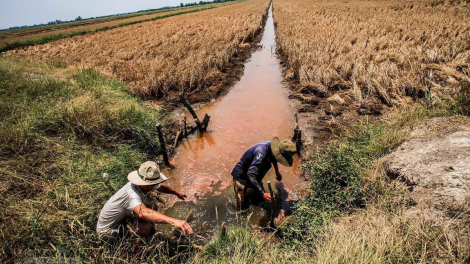 THỜI SỰ 18H CHIỀU 12/3/2024: Đồng bằng sông Cửu Long đang vào cao điểm mặn xâm nhập, nhiều địa phương đóng tất cả các cống để tạo vùng trữ nước ngọt phục vụ sản xuất và sinh hoạt