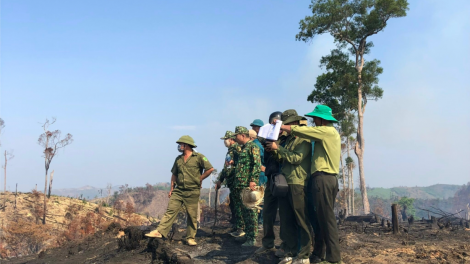 Đắk Lắk xử lý đất đai nông lâm trường cần hài hoà lợi ích người dân và doanh nghiệp (11/3/2024)