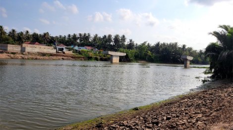Hàng trăm héc ta hoa màu ở Tiền Giang có nguy cơ mất mùa do khô hạn (20/03/2024)