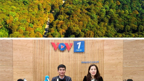 Tiềm năng thu 5.000 tỉ đồng từ bán tín chỉ các bon: nguồn lực lớn cho bảo vệ và phát triển rừng. (1/3/2024)