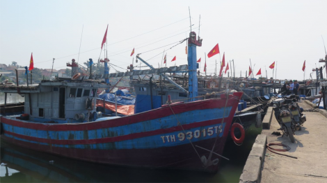Thừa Thiên Huế: Thiếu hụt lao động nghề biển (14/03/2024)
