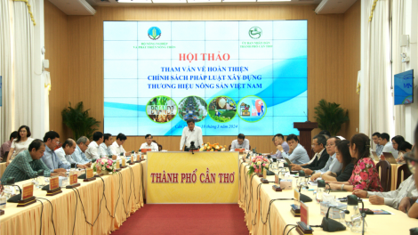 Hoàn thiện chính sách xây dựng thương hiệu nông sản Việt Nam (18/3/2024)