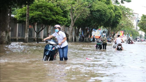 THỜI SỰ 12H TRƯA 11/3/2024: Cao điểm triều cường nước mặn tại Tiền Giang, đỉnh triều ở mức cao khiến các khu vực bị ngập nước có nguy cơ bị thiệt hại nặng