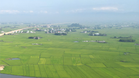 Hơn 1000 hécta ở Bình Định nguy cơ thiếu nước vụ hè thu (08/3/2024)