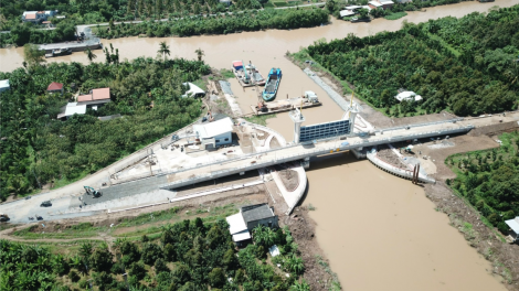 Bến Tre: Cần khẩn trương khắc phục tình trạng nước mặn xì qua cống trữ ngọt (11/3/2024)