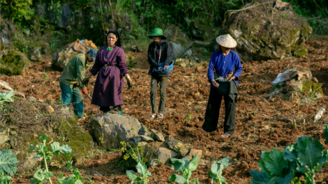 Người dân ở Thượng Thôn, Cao Bằng mong một mùa bội thu (20/03/2024)