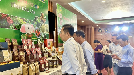 Sản phẩm OCOP Đắk Lắk từ ao làng vươn ra biển lớn (19/04/2024)