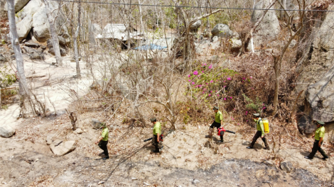 Bà Rịa – Vũng Tàu căng mình ngăn lửa giữ rừng (19/04/2024)