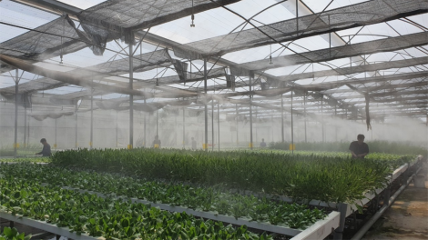 Kết nối tiêu thụ nông sản TP.HCM và Tây Nguyên, điểm nhấn phải đến từ chất lượng (5/4/2024)