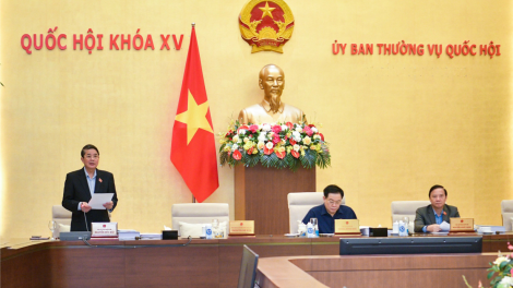 Lập luận kĩ khi quy định dao có tính sát thương cao là một trong các loại vũ khí (02/04/2024)
