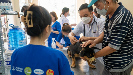 Long An phát động 8 ngày cao điểm tiêm phòng dại cho chó mèo tại ổ dịch biên giới (20/4/2024)