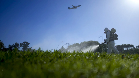 Sốt xuất huyết hoành hành khắp châu Mỹ (10/04/2024)