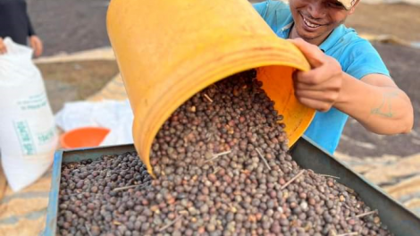 Khó chưa từng có, doanh nghiệp cà phê vẫn lạc quan trước “dốc đứng” thị trường (30/03/2024)