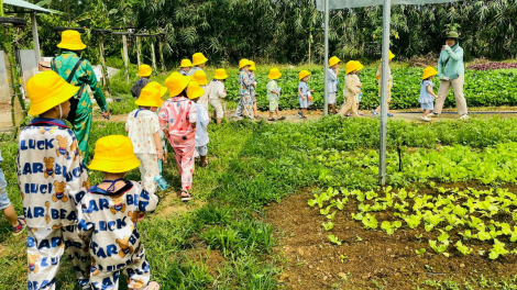 Nâng cao giá trị đất nông nghiệp nhờ khai thác tốt dịch vụ du lịch (4/4/2024)