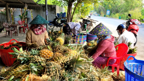Hàng trăm hộ dân vùng Đồng Tháp Mười (Tiền Giang) “ kêu cứu” vì nhiều năm không có nước sạch sinh hoạt (12/4/2024)