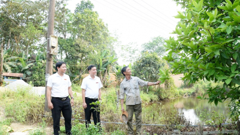 Người dân miền núi Quảng Nam đổi đời nhờ vốn vay phát triển sản xuất (22/4/2024)