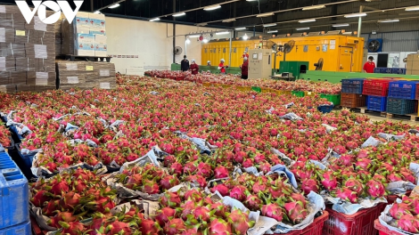 Đẩy mạnh xuất khẩu nông sản sang thị trường Trung Quốc. (20+21/04/2024)