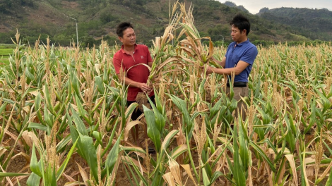 THỜI SỰ 12H TRƯA 18/4/2024: Nắng nóng và hạn hán kéo dài gây tác động thiệt hại sản xuất tại nhiều địa phương
