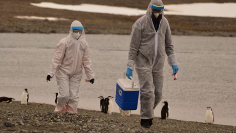 WHO cảnh báo một dịch bệnh sắp là 'mối lo ngại lớn' (19/04/2024)