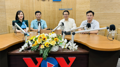 Kịp thời giải quyết tồn tại chính sách đối với cựu thanh niên xung phong (27/4/2024)