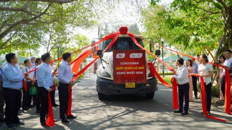 Đồng Tháp xuất khẩu lô sen đầu tiên sang Nhật Bản (10/05/2024)
