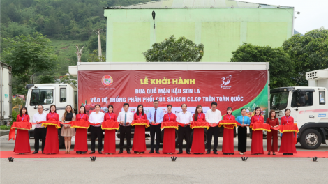 Mở rộng thị trường tiêu thụ, quảng bá thương hiệu mận hậu Sơn La (19/5/2024)