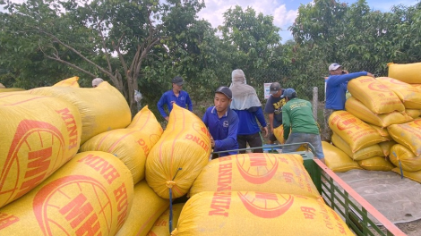 Xuất khẩu khởi sắc, cơ hội để khẳng định thương hiệu gạo Việt Nam (06/05/2024)