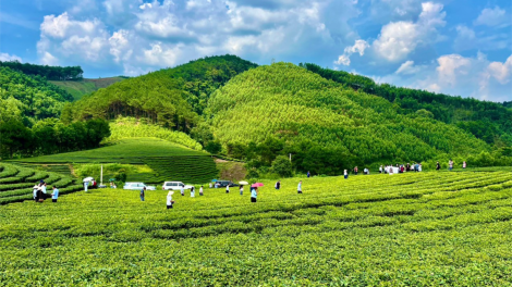 Đánh thức tiềm năng du lịch nông thôn ở Đình Lập, Lạng Sơn (29/05/2024)